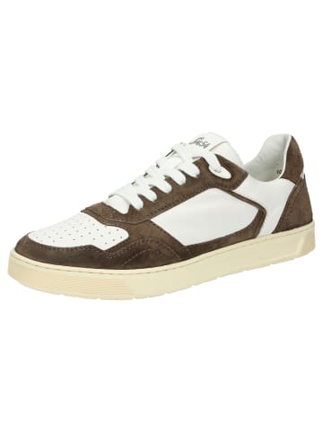 Sioux Sneaker Tedroso-704 in braun