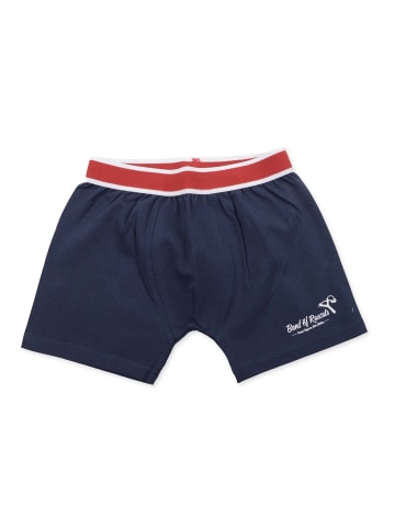 Band of Rascals Unterhose " Rascal " in blau