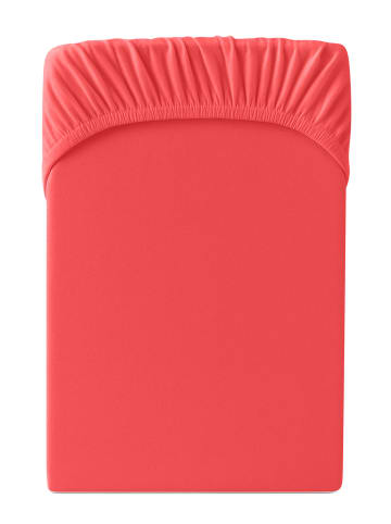 Cats Collection Spannbetttuch Edel-Jersey in rot