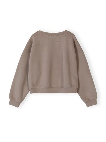 Minoti Rundhalspullover 30SCUBA301 in Braun