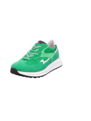 Gabor Sneaker in grün