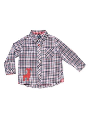 Nyani Jungen Hemd "SHIRT CAPRICORN MICK" in Rot/Grau