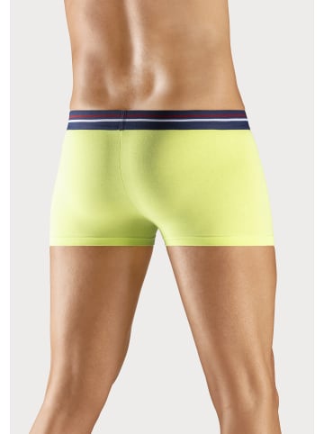 H.I.S Boxershorts in grün, lime, blau, rot, schwarz