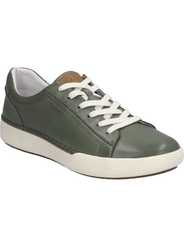 Josef Seibel Sneaker Claire 01 in mint