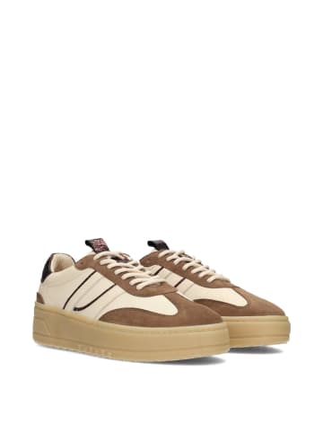 POELMAN Poelman ANEMONE Damen Sneaker