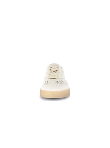 Gabor Sneaker in beige