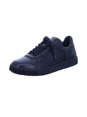 Sioux Schnürschuh in schwarz
