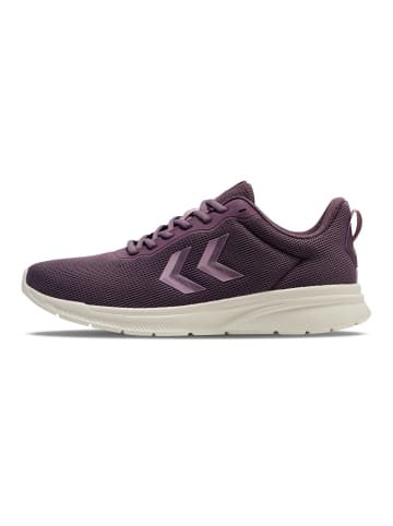 Hummel Multisportsschuh Reach Tr Erwachsene in BLACK PLUM