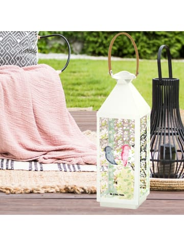 Mr. & Mrs. Panda Laterne Axolotl Freundin ohne Spruch in Transparent