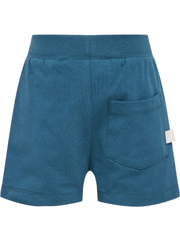 Hummel Shorts Hmldream Shorts in BLUE CORAL