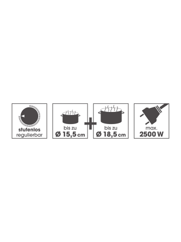 Gourmet Maxx Doppelkochplatte 2500W schwarz Schwarz