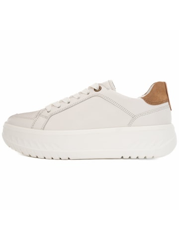 ara Freizeit Schnürer für Damen in creme
