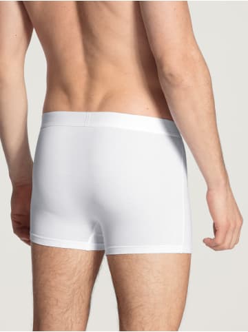 Calida New Boxer in weiss