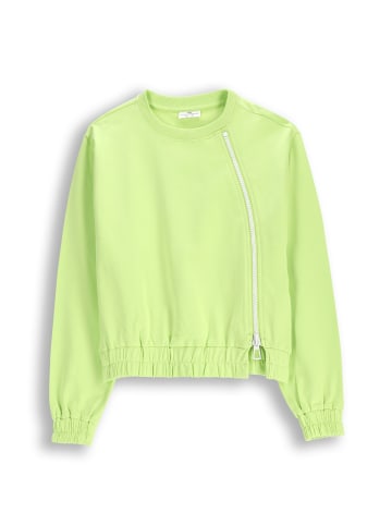 Coccodrillo Sweatshirt in grün