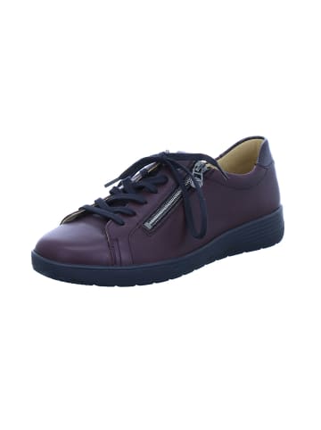 Ganter Sneaker in vino