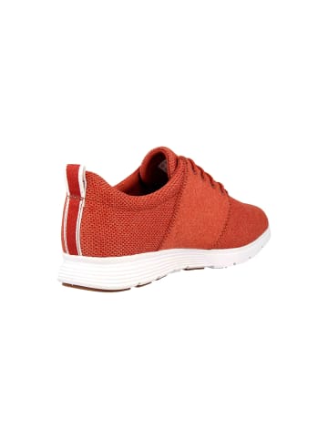 Timberland Sneaker in Rot