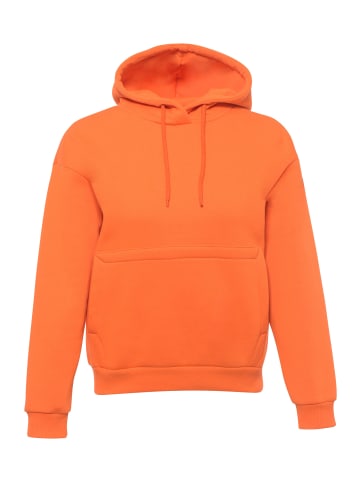 Freshlions Hoodie Balina in Orange