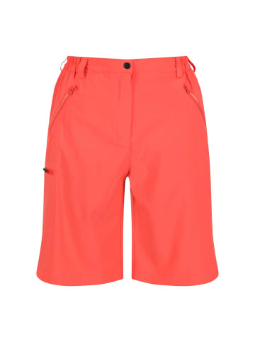 Regatta Outdoorshorts Xert It in Neon Peach