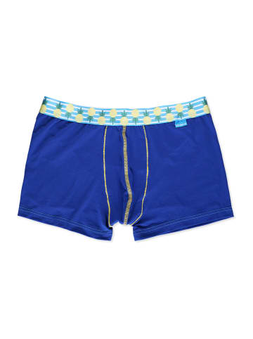 Unabux Boxer Briefs Motiv Mix in WOOLHEAD