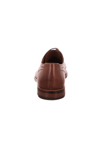 LLOYD Business Schnürschuh in braun