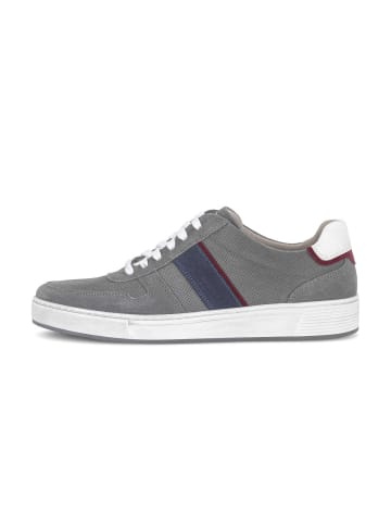 Gabor Sneaker low in grau