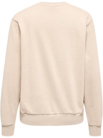 Hummel Sweatshirt Hmlte Element Sweatshirt in CHATEAU GRAY