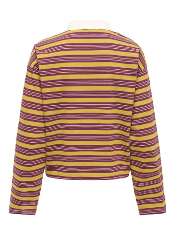 ONLY Polo in Fig 1