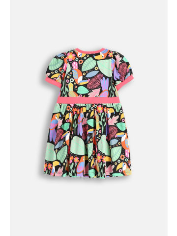 Coccodrillo Kleid in bunt