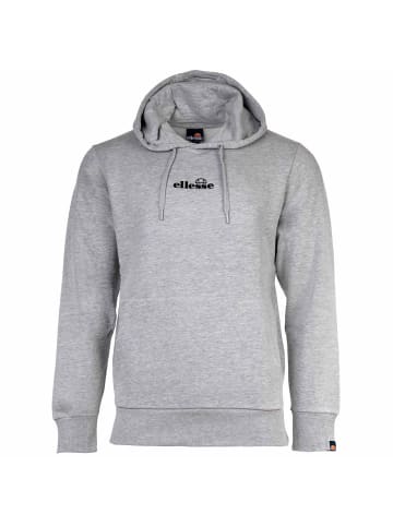 ellesse Sweatshirt in Grau