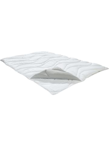 Erwin Müller Textilfaser Vier-Jahreszeiten-Bett Amper in weiß/grau