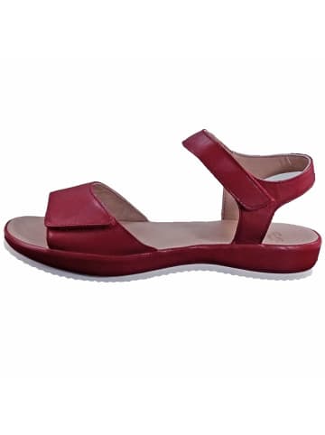 ara Komfort Sandale in rot