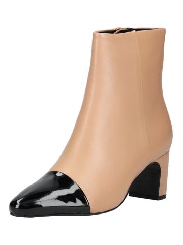 Högl Stiefelette in Braun/Schwarz