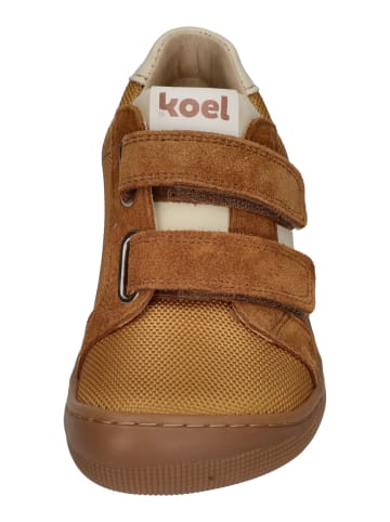 KOEL Sneaker Low DENIS FABRICS 3.0 in braun