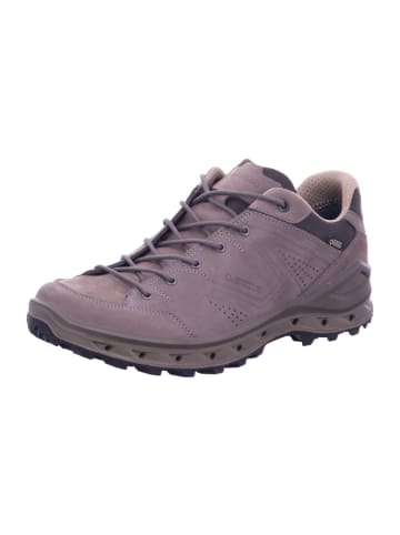 LOWA Outdoorschuh AERANO GTX in braun