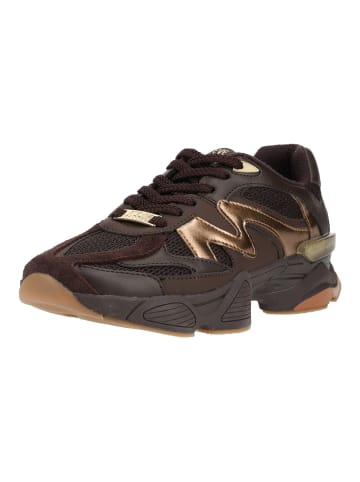 Steve Madden Sneaker SPEEDER in Chocolate
