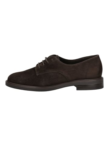 Paul Green Halbschuhe in Moro