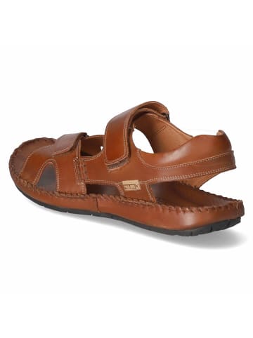 Pikolinos Sandalen TARIFA in braun