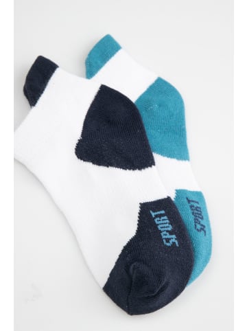 Coccodrillo Socken in bunt