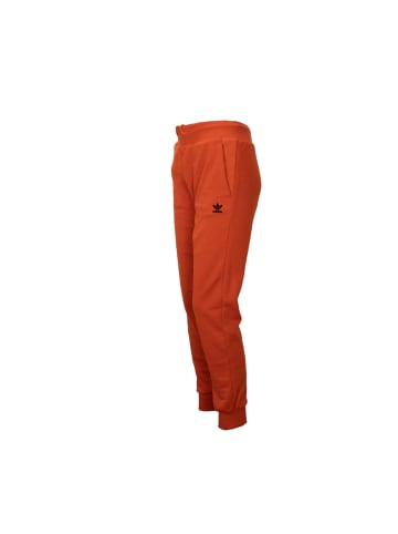 adidas Sweathose Cuffed Pants Trefoil in Orange