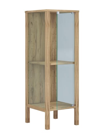 VCM  Glasvitrine Jensol S  mit ESG Glas Regal stehend in Honig-Eiche