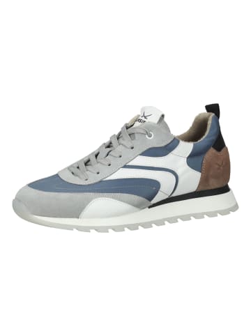 Sansibar Sneaker in Mittelblau