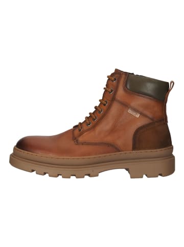 Pikolinos Stiefelette in Brandy