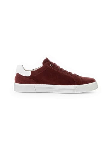 Pius Gabor Sneaker low in rot