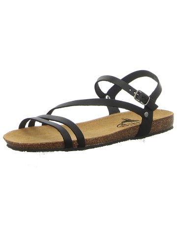 Plakton Sandalen in schwarz