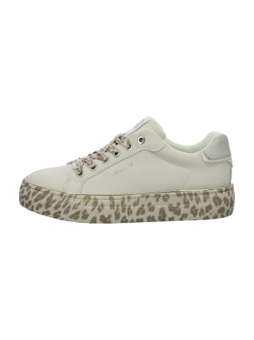Tamaris Plateau Sneaker in Beige