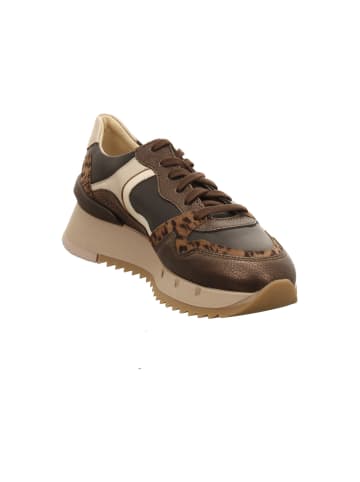 Mephisto Sneaker in braun