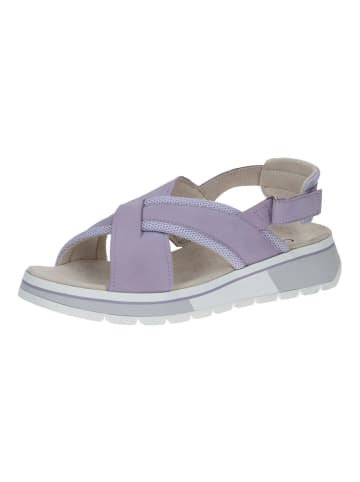 Caprice Sandalen in Purple