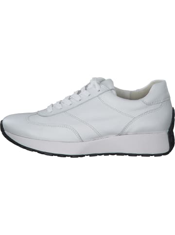 Paul Green Sneakers Low in white