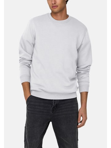 ONLY & SONS Sweatshirt Ceres in Hellgrau