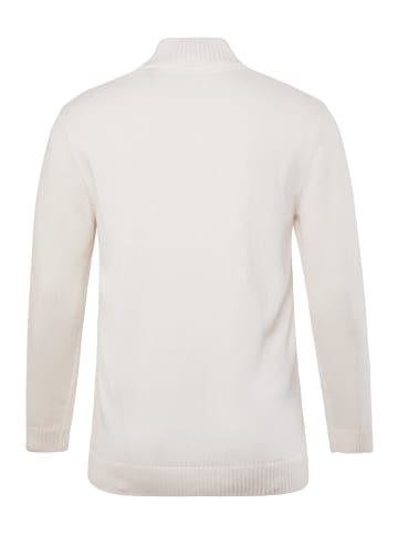 Men Plus Pullover in offwhite